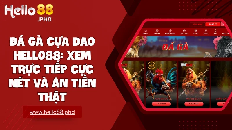 Hello88 là nơi bạn có thể vừa giải trí vừa kiếm tiền thật từ những cú đá đầy uy lực