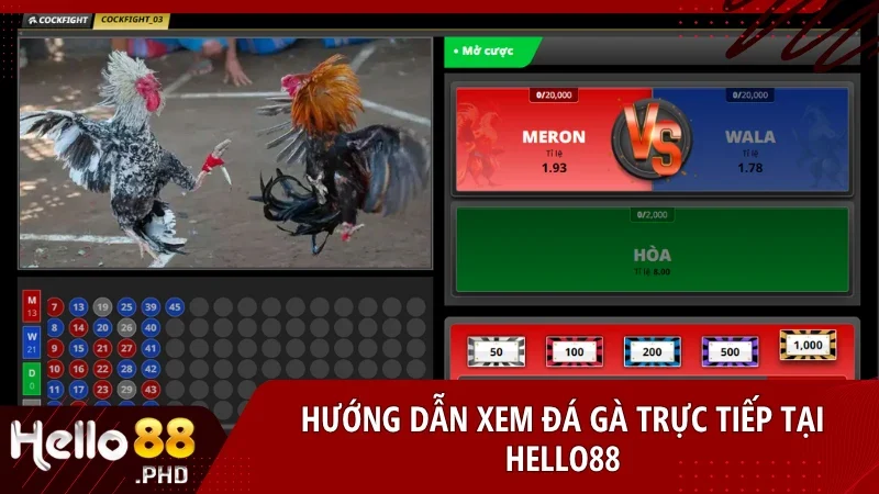 Chỉ với vài bước đơn giản bạn đã có thể tham gia cá cược đá gà trực tuyến an toàn