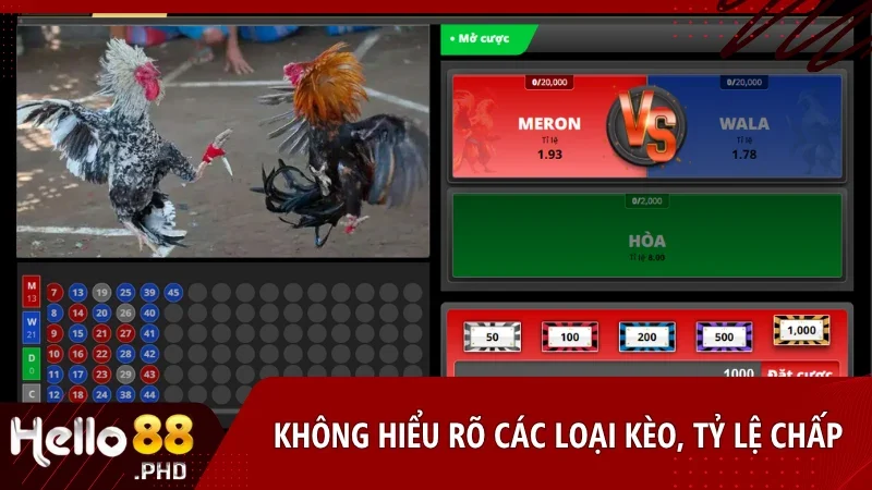 Tìm hiểu các loại kèo cược đá gà trước khi tham gia