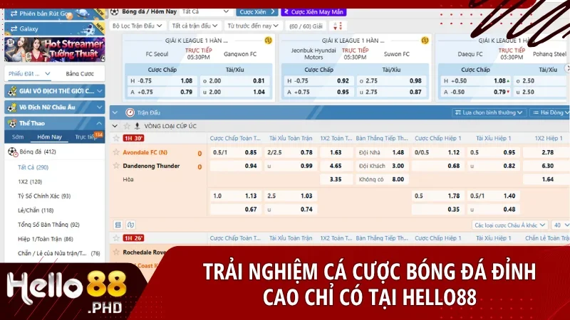 Trải nghiệm cá độ bóng đá Hello88 hiện đại và minh bạch